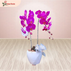 Bunga Anggrek - BA02