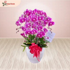 Bunga Anggrek - BA09