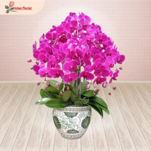 Bunga Anggrek - BA10