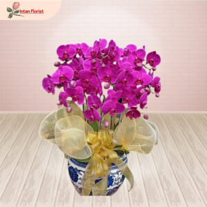 Bunga Anggrek - BA11