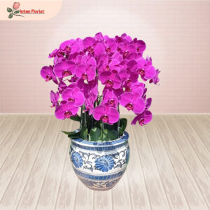 Bunga Anggrek - BA13