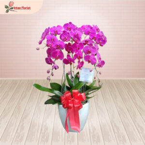 Bunga Anggrek - BA15