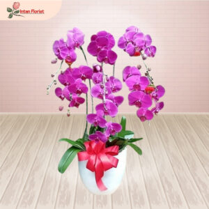 Bunga Anggrek - BA16