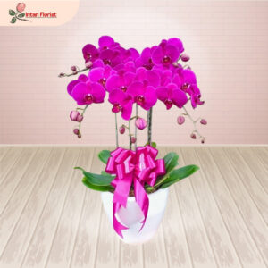 Bunga Anggrek - BA18