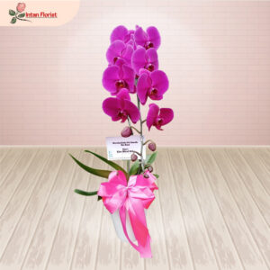 Bunga Anggrek - BA23